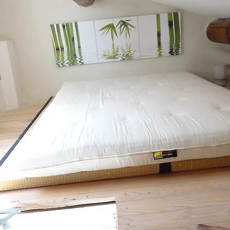 Appartamento Avec Terrasse,mezzanine,patangarles *